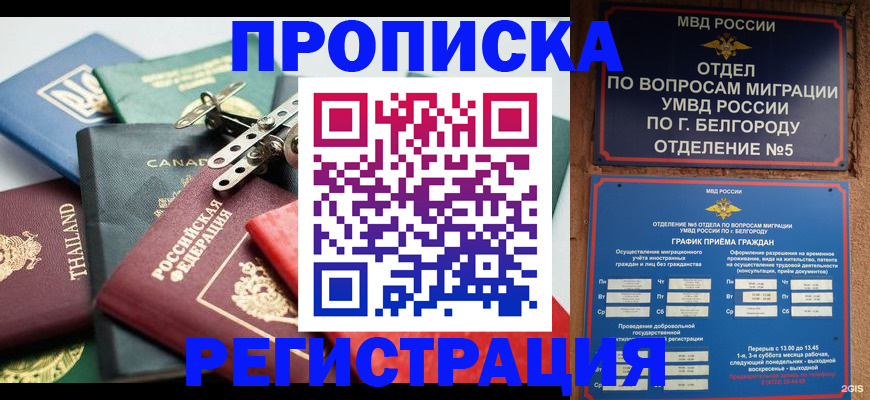временная регистрация недорого в Шилке